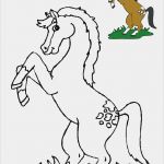 Windows Colour Vorlagen Wunderbar Tiere Vorlagen 3