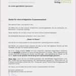 Winterdienst Mieter Plan Vorlage Erstaunlich Winter Nst Mieter Plan Vorlage Rechnungsgenerator 2018