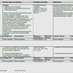 Winterdienst Mieter Plan Vorlage Großartig Winter Nst Mieter Plan Vorlage Einzigartig