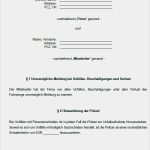 Wlan Nutzungsvereinbarung Vorlage Erstaunlich Groß Nutzungsvereinbarung Vorlage Galerie Beispiel