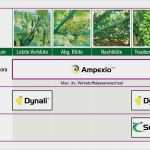 Wochenbericht Außendienst Vorlage Best Of Ampexio Collection