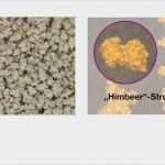 Wochenbericht Außendienst Vorlage Beste Ampexio formulierung