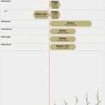 Wochenbericht Außendienst Vorlage Erstaunlich Moddus Anwendung