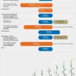 Wochenbericht Außendienst Vorlage Genial Moddus Anwendung