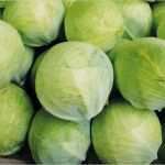 Wochenbericht Außendienst Vorlage Hübsch Prodikos