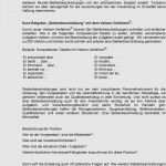 Wochenbericht Außendienst Vorlage Wunderbar 61 Angenehm Stellenbeschreibung Vorlage Word Bilder