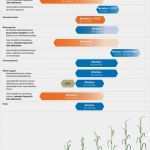 Wochenbericht Außendienst Vorlage Wunderbar Moddus Anwendung