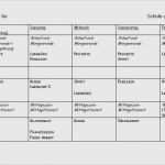 Wochenplan Grundschule Vorlage Fabelhaft Wochenplan Grundschule Vorlage Süß Allgemein