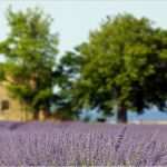 Wohnrecht Vorlage Inspiration Manon Des sources Von Marcel Pagnol Hörspiel Srf