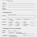 Wohnung Inserieren Vorlage Gut Wohnung Mietvertrag Vorlage