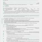 Wohnungsmietvertrag Vorlage Pdf Beste Einzigartig Muster Mietvertrag Haus Und Grund