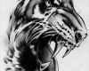 Wolf Tattoo Vorlage Einzigartig Tiger Tattoo Vorlagen Tattoovorlagen Tiger