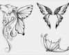 Wolf Tattoo Vorlage Gut Coole Schmetterling Tattoo Ideen Freshouse