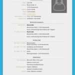 Word Bewerbung Vorlage Fabelhaft Lebenslauf Vorlagen Word Colombristopherbathum