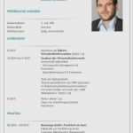 Word Bewerbung Vorlage Wunderbar Cv Vorlage Word Erstaunlich Cv Muster Vorlage Beispiel