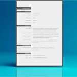 Word Lebenslauf Vorlage Kostenlos Herunterladen Einzigartig Initiativbewerbung Vorlage In Word Zum Herunterladen