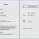 Word Vorlage Broschüre 2 Seitig Erstaunlich 15 Wahlzettel Vorlage Word