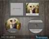Word Vorlage Cd Cover Schönste Hochzeit Cd Cover Template Cd Label Vorlage Dvd Cover