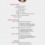 Word Vorlage Flyer 3 Spaltig Kostenlos Wunderbar Lebenslauf Vorlage Meinebewerbung