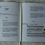 Word Vorlage Kirchenheft Taufe Angenehm Taufe Kirchenheft Vorlage Rosen Rosen Rounded 1