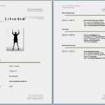 Word Vorlage Lebenslauf Tabellarisch Erstaunlich Kostenlose Lebenslaufvorlagen Zum Herunterladen Fice