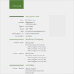 Word Vorlage Lebenslauf Tabellarisch Erstaunlich Lebenslauf Vorlage Für Word