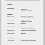 Word Vorlage Lebenslauf Tabellarisch Schön Vordruck Lebenslauf Word Lebenslauf Beispiel