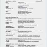 Wps Schweißanweisung Vorlage Wunderbar 36 Großartig Lebenslauf Vorlage Schülerpraktikum Modelle