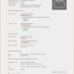 Www Bewerbungsschreiben Vorlagen Hübsch 11 Bewerbungsschreiben Lebenslauf Vorlagen123 Vorlagen123