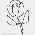 Www C Kreul De Vorlagen Genial Blumen Malvorlagen Bilder Zum Ausmalen