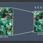 Www Spielkarten Com Quick Quiz Vorlage Einzigartig Bilder Online Verkleinern Und Vergrößern Kostenlose tools
