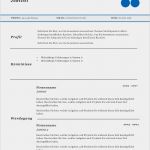 Xing Premium Kündigen Vorlage Hübsch Vorlage Muster Bewerbung Meinebewerbung