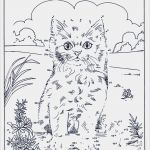 Zahlen Vorlagen Zum Ausdrucken Hübsch Malen Nach Zahlen 78 Malen Nach Zalen