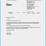 Zahlungsunfähigkeit Schreiben Vorlage Neu Typisch Bewerbungsschreiben Richtig Schreiben Haraszti