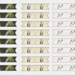 Zahnstocher Fähnchen Vorlage Neu Detektiv Zubehör Und Deko Selbst Basteln Ausweis Vorlage