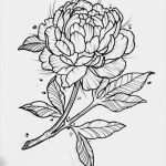 Zeichnen Anfänger Vorlagen Fabelhaft Calla Zeichnen Blume Zeichnen Zeichnen Lernen Für Anfänger