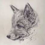 Zeichnen Anfänger Vorlagen Gut Zeichnen Lernen Vorlagen Anfänger Inspiration Zeichnen