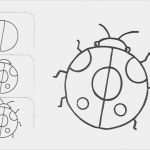 Zeichnen Lernen Vorlagen Anfänger Hübsch Zeichnen Lernen Mit Anleitungen Für Kinder Witzige