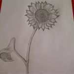 Zeichnen Lernen Vorlagen Anfänger Süß Traumfänger Tattoo Vorlage Mit Federn Und Blumen Pinteres