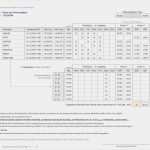 Zeiterfassung Mitarbeiter Vorlage Beste Mitarbeiter Zeiterfassung