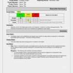 Zeitleiste Vorlage Download Erstaunlich Projektplan Excel