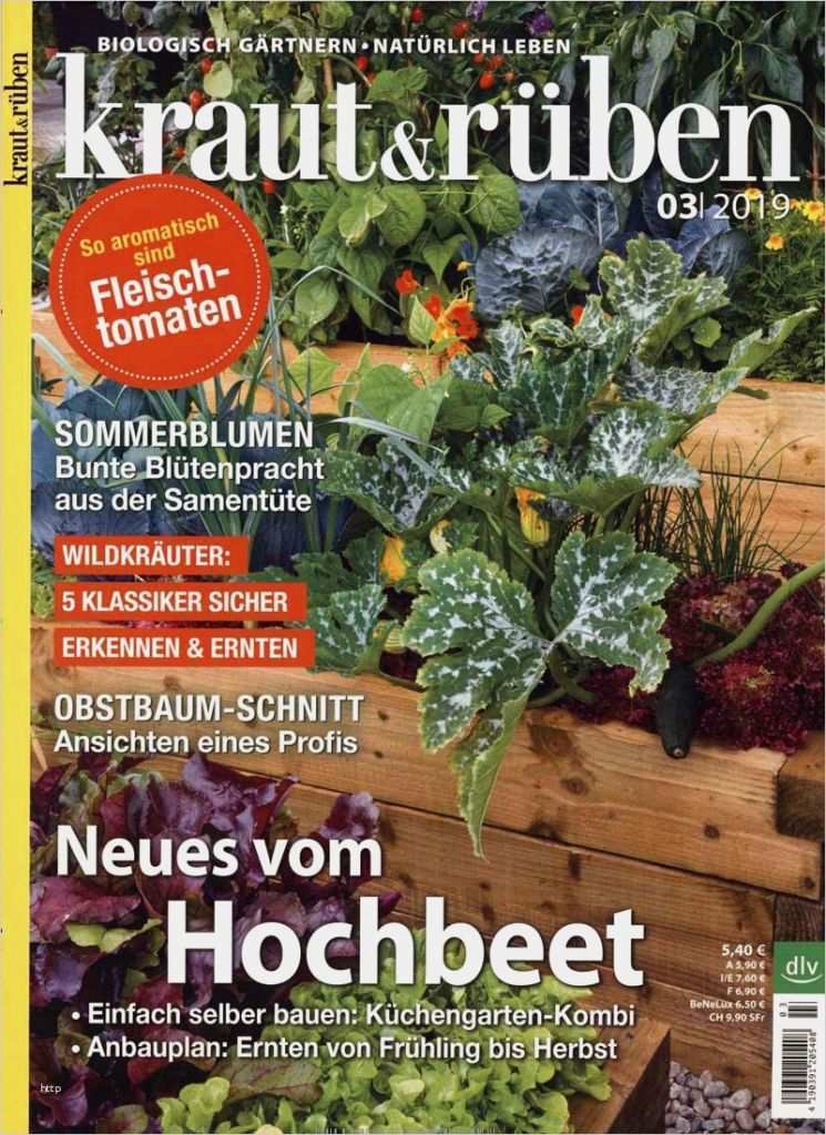 Zeitschriften Abo Kündigen Vorlage Erstaunlich Kraut Und Rueben Abo Zeitschriften Abo • Zeitschriften Abo