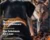 Zeitschriften Abo Widerrufen Vorlage Genial Wild Und Hund Abo Zeitschriften Abo • Zeitschriften Abo