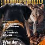 Zeitschriften Abo Widerrufen Vorlage Genial Wild Und Hund Abo Zeitschriften Abo • Zeitschriften Abo