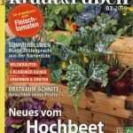 Zeitschriften Abo Widerrufen Vorlage Schön Kraut Und Rueben Abo Zeitschriften Abo • Zeitschriften Abo