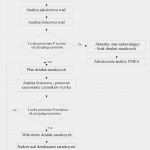 Zeitstrahl Excel Vorlage Einzigartig Zeitstrahl Excel Vorlage