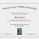 Zertifikat Vorlage Word Angenehm 14 Zertifikat Vorlage Word