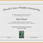 Zertifikat Vorlage Word Großartig 11 Zertifikat Vorlage Word