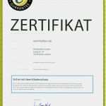 Zertifikat Vorlage Word Schön Zertifikat Vorlage Word – Nyata