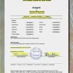 Zeugnis Vorlage Pdf Bewundernswert Multivorlage Schulzeugnis Einfach Selber Nach Wunsch